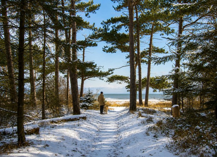 Ferienwohnung Nordsee,Swatten Diek 35, Cuxhaven- Sahlenburg