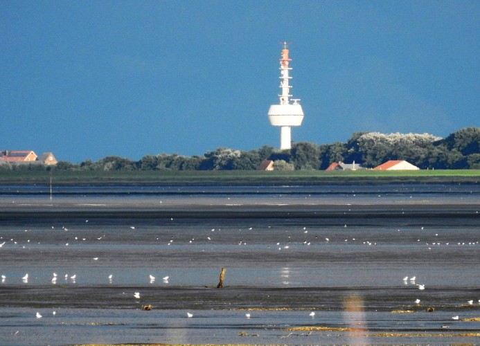Appartmenthaus Witthöhn, Witthöhn- Nord 2,  Whg. 2, Cuxhaven- Sahlenburg