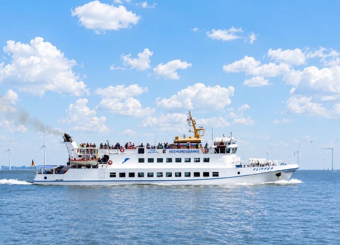 FeWo Grünstrand Whg.16, Strichweg 75, Cuxhaven Grimmershörn