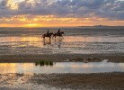 Ferienwohnung Nordsee,Swatten Diek 35, Cuxhaven- Sahlenburg