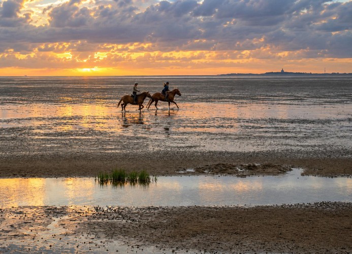 Ferienwohnung Nordsee,Swatten Diek 35, Cuxhaven- Sahlenburg