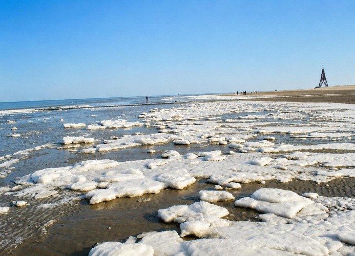 Ferienwohnung Nordsee,Swatten Diek 35, Cuxhaven- Sahlenburg