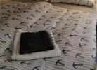 FEWO Kliff Watt Nr. 4, Hamburgerstr. 30, 27476 Cuxhaven Sahlenburg, Bett ansicht 