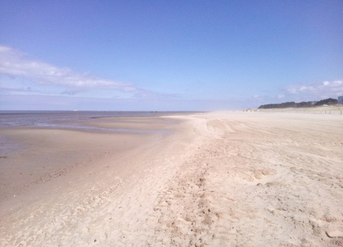 Haus Seewind 10, Haustiere Sahlenburg, Hans Retzlaff Straße 4