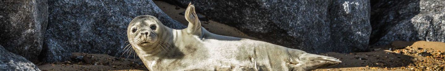 Ihr Urlaub in der Fewo über eine Reiserücktrittsversicherung absichern