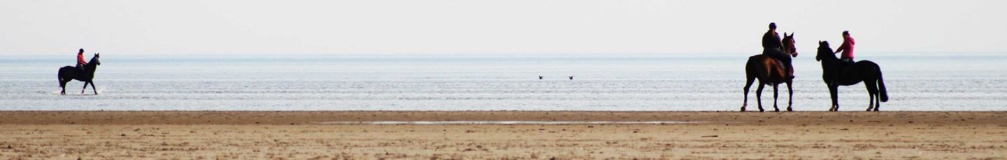 Urlaub in einer Ferienwohung oder einem Ferienappartement an der Nordsee