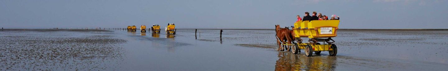 Ferienwohungen in Sahlenburg und andere Orte in Cuxhaven