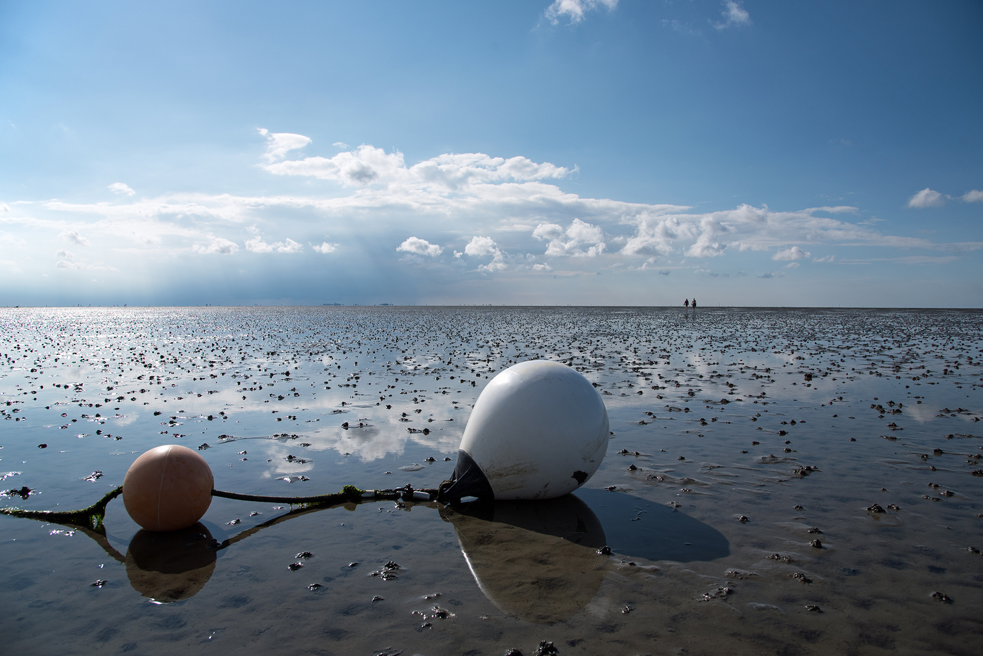 Wattenmeer bei Cuxhaven